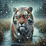  Snow Tiger
