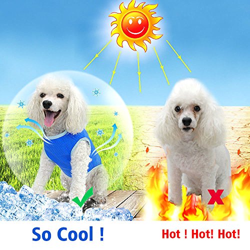 Zunea Dog Cooling Vest for Small Medium Large Dogs Breathable Chill Out Cool Jacket Summer Soft Anti Heat Swamp Cooler Coat for Outdoor Hiking Training - Image 2