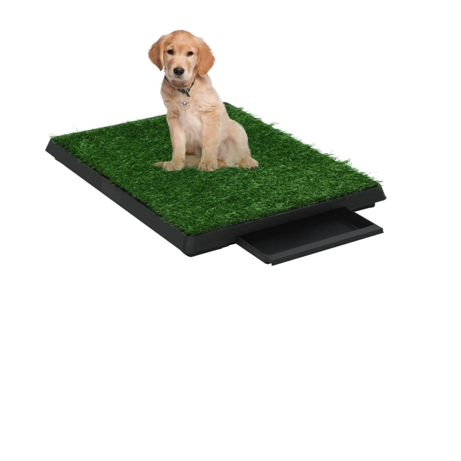 Toilette Animali con Vassoio e Prato Finto Verde 63x50x7cm WC,Materiali per l'addestramento dei Cani,Tappetini igienici per cani-170766
