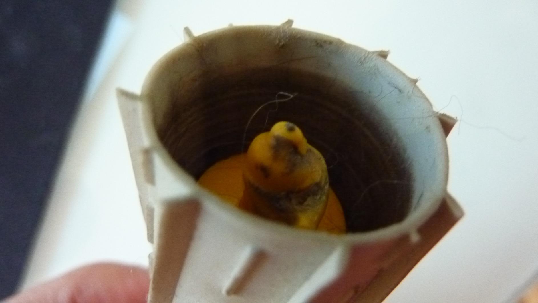 Die helle Walze war 2 x sofort kaputt.