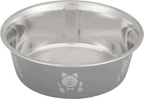 Neater Pets - Tazón de acero inoxidable para alimentos o agua (gris, 2 tazas)