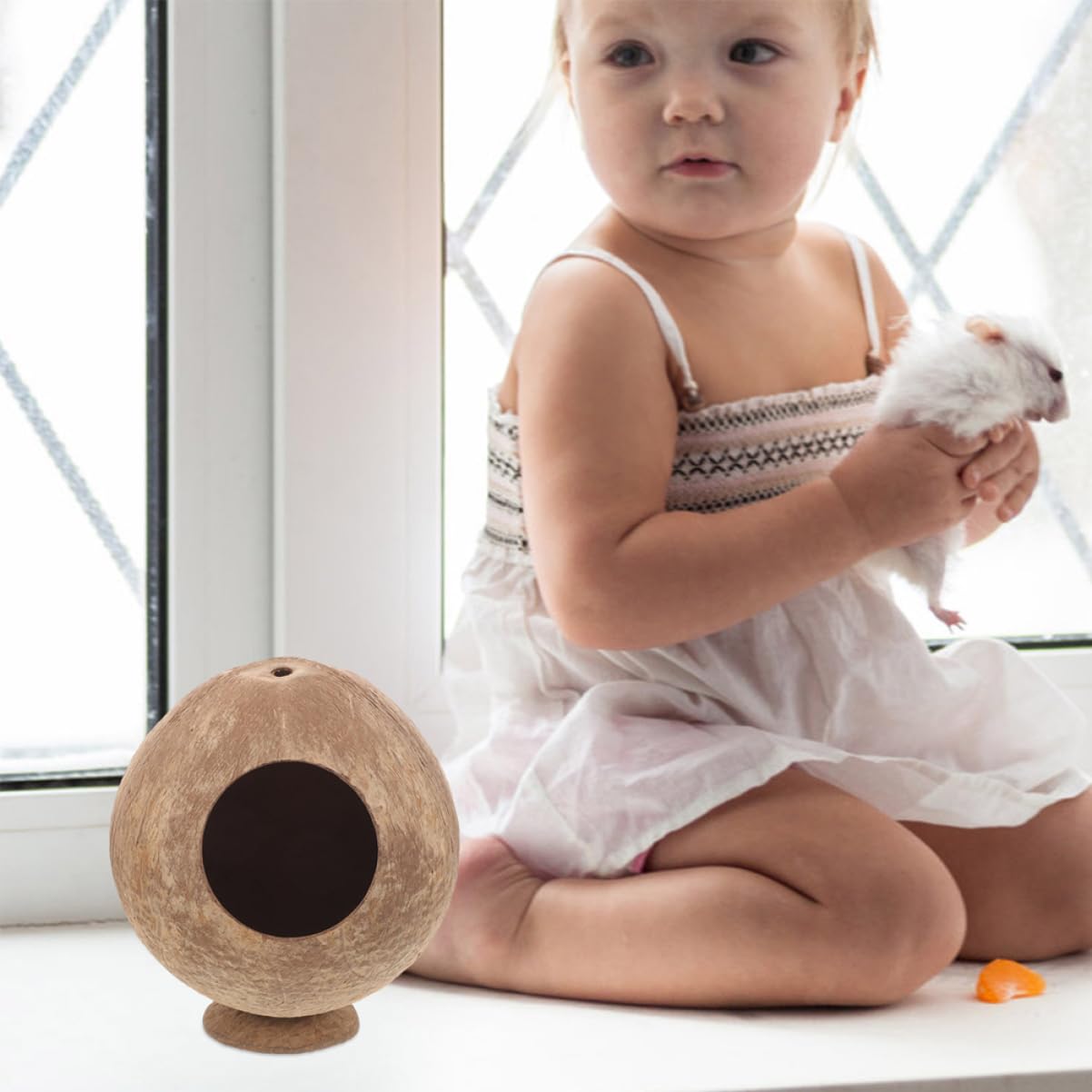 MAGICLULU Braun Kokosnusshütte 2 Stück aus Kokosnussschale Hamster