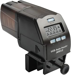 Amazon.ca : Smart Fish