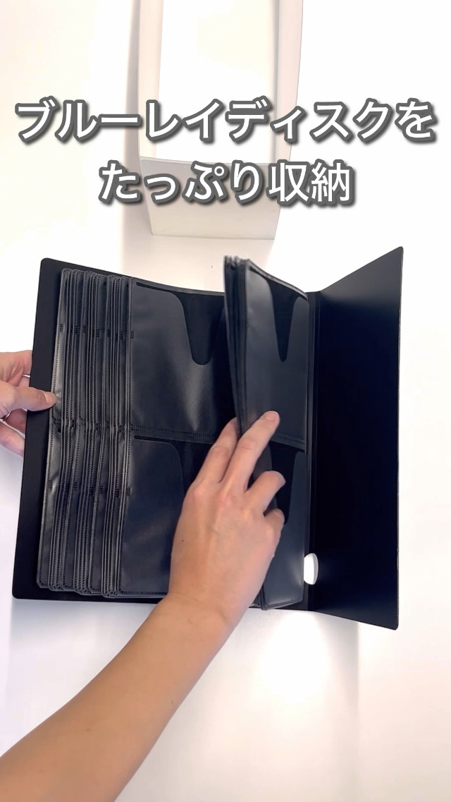 同梱 Amazon.co.jp: [エースジーン] デュアルポーズ A4 15.6インチPC収納可