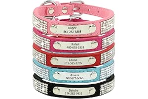 Personalized Glitter Dog Collar, Custom Engraved with Pet Name and Phone Number,...