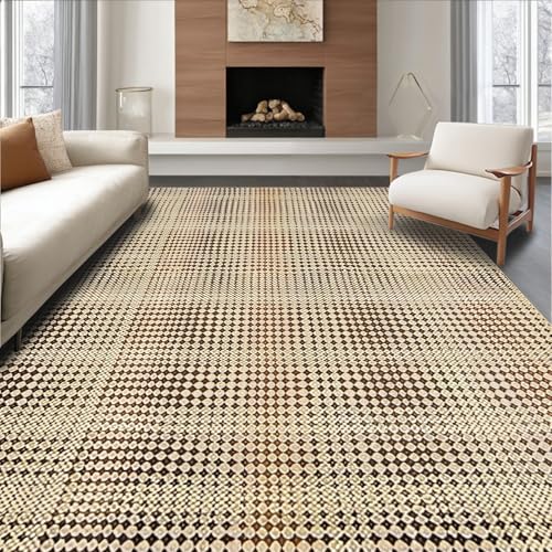 ODIKA Flatwoven High Traffic Area Rug 4x6, Modern Country Style
