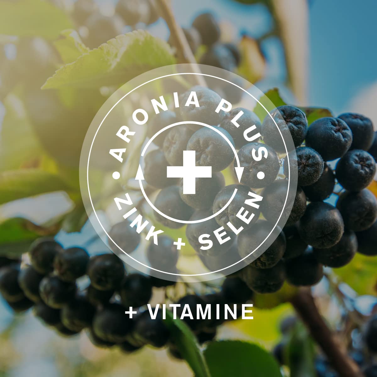aronia+ PRO IMMUN Trinkampullen, 30 Stück, Nahrungsergänzungsmittel mit Zink und Selen, ohne Zuckerzusatz