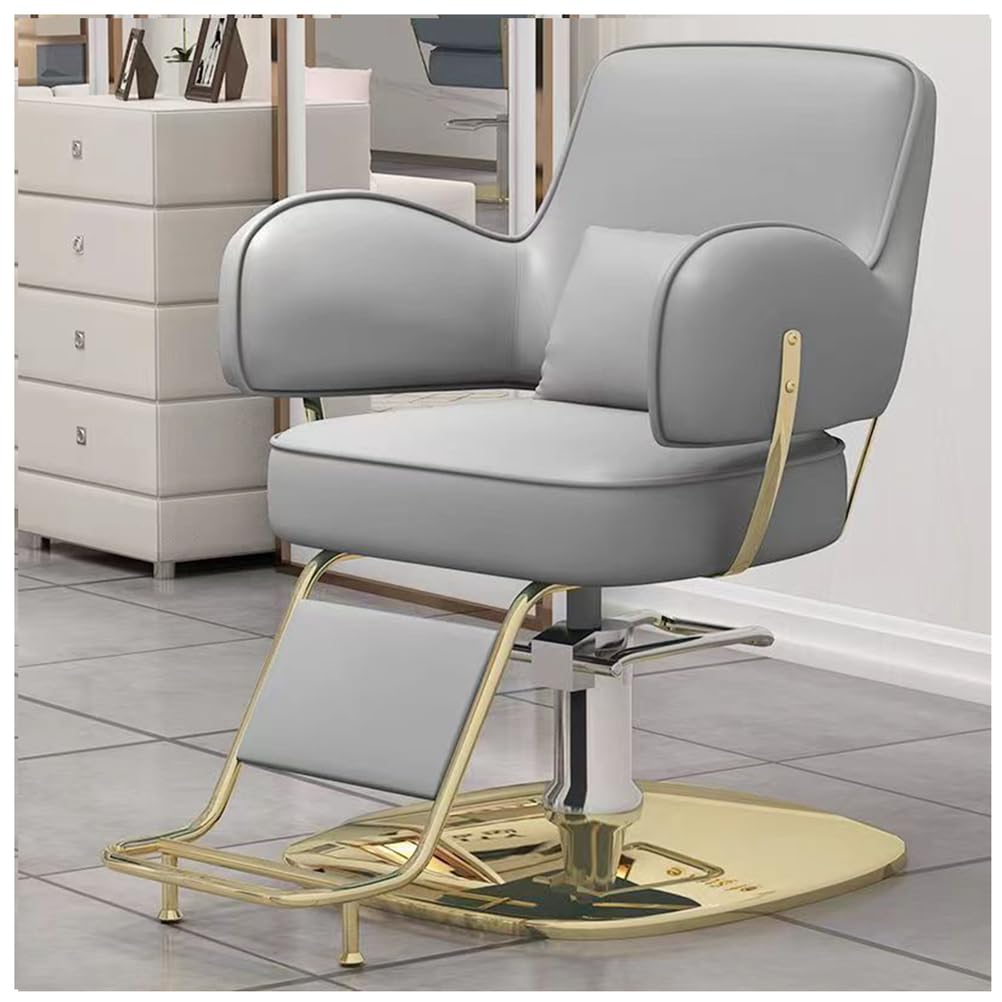 OZBMA Barber Chair,Salon Chair for Hair Stylist,Salon with Hydraulic Pump,360 Degree Swivel Stylist Chairs Footrest,Gray,D (Grey E)