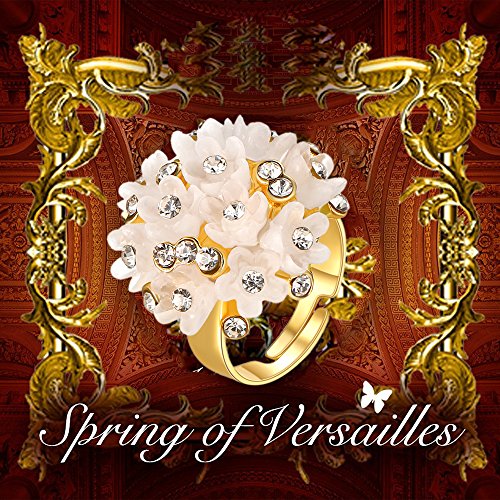 Luxuria Floral Solitaire Ring & Earrings Combo for Her