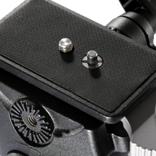 メーカー純正品[充電不要 1年保証] バンガード VANGUARD ABEO 283CV