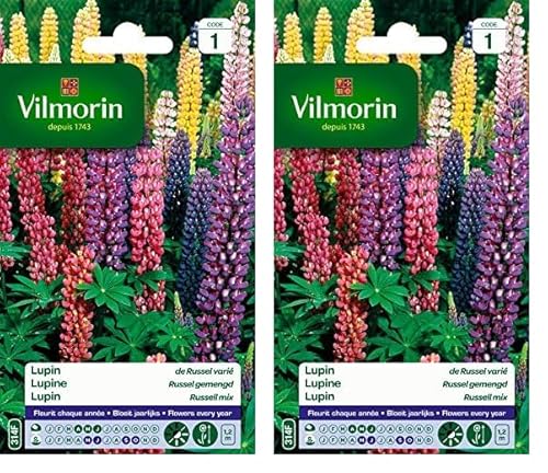 Vilmorin 5345741 Lupin de Russel varie Multicolore 9 x 0.5 x 16 cm (Lot de 2)