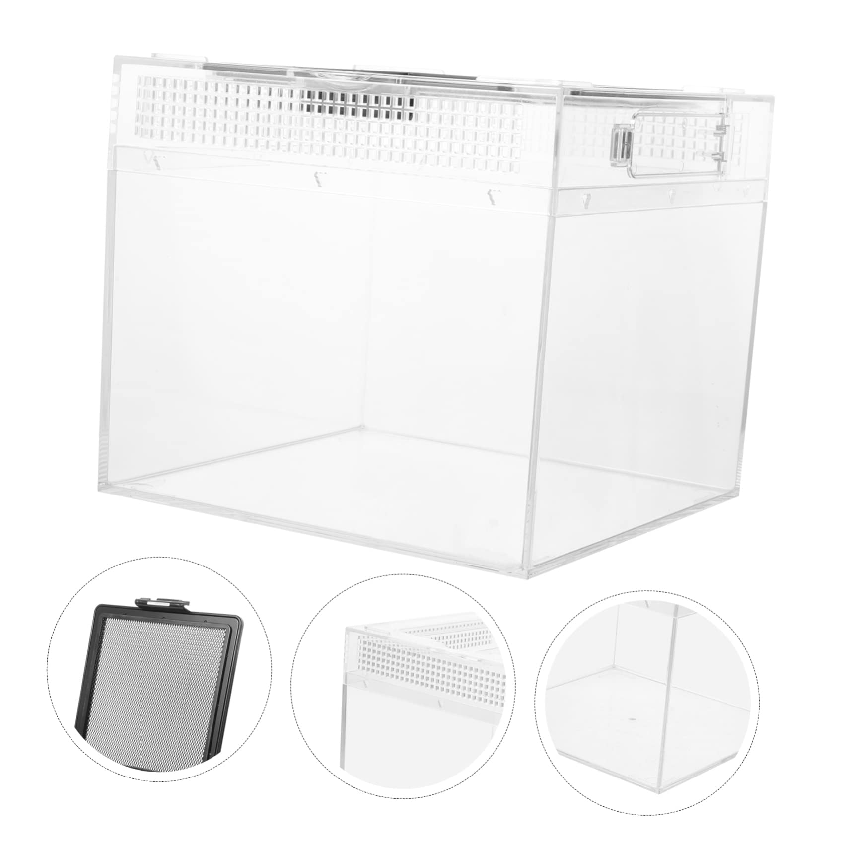 Toddmomy Recinto para Reptiles Transparente con Tapa Magnética Deslizante Incubadora Creativa y Alimentador Práctico para Arañas y Tortugas Pequeñas