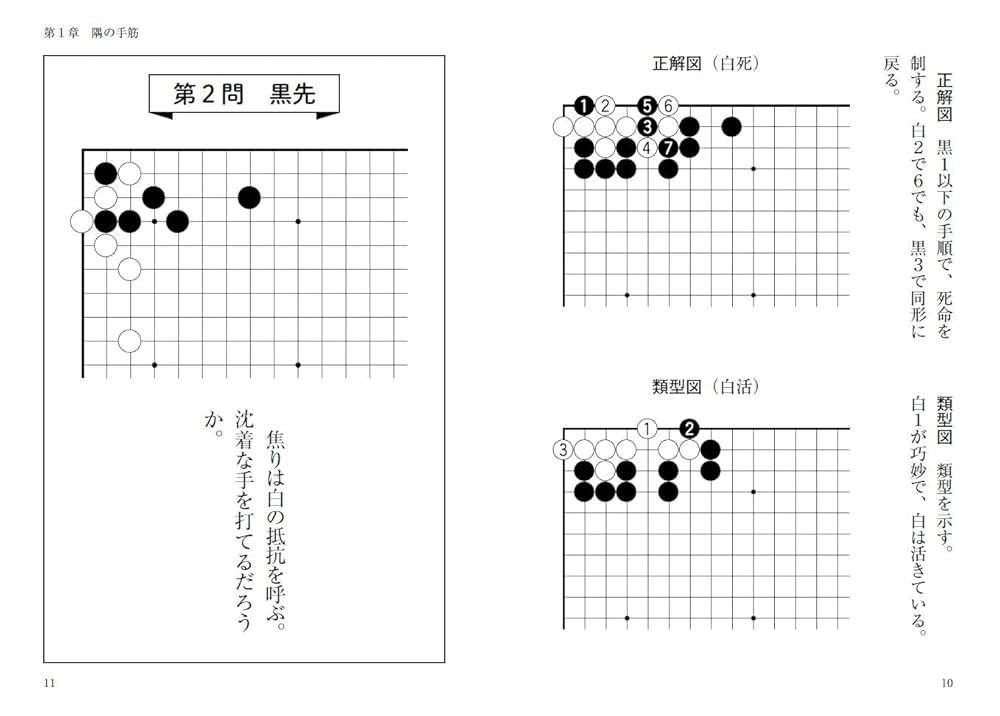 手筋大事典　日本棋院　囲碁　手筋　用語 手筋大事典 日本棋院 囲碁 手筋 用語