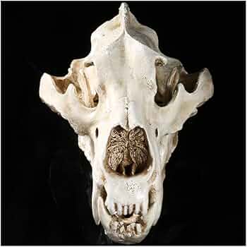 POLAR - ポラールm450 61hzYrjSwbL._UF350,350_QL50_.jpg