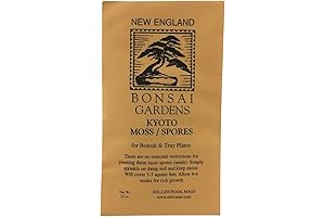 Moss Spores for Bonsai Trees