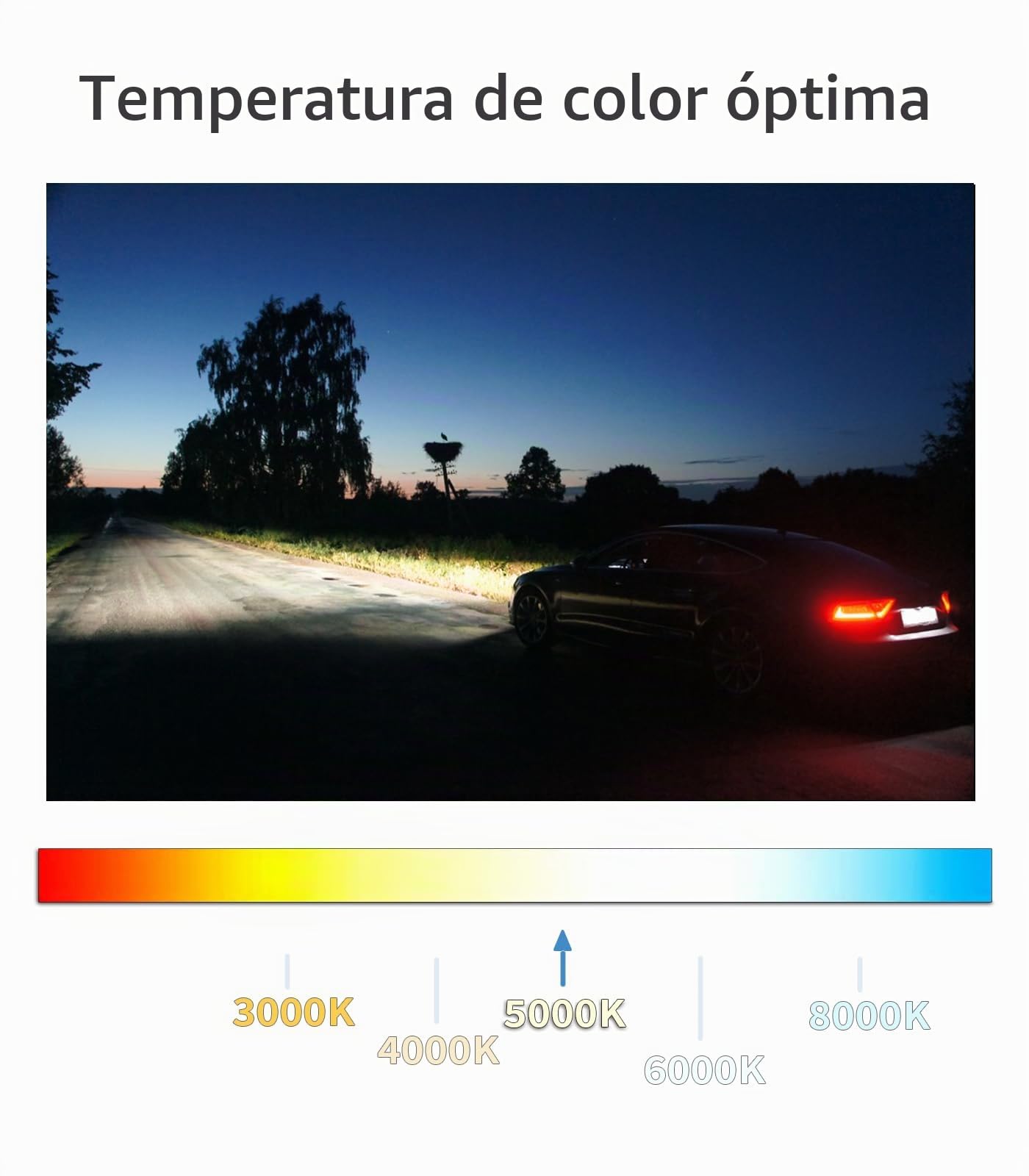 LTONXEN H11 Bombillas, 12V 55W Blanco Cálida Luz para el Coche Alta/Haz Antiniebla de Lámpara del Faros, 2 Piezas