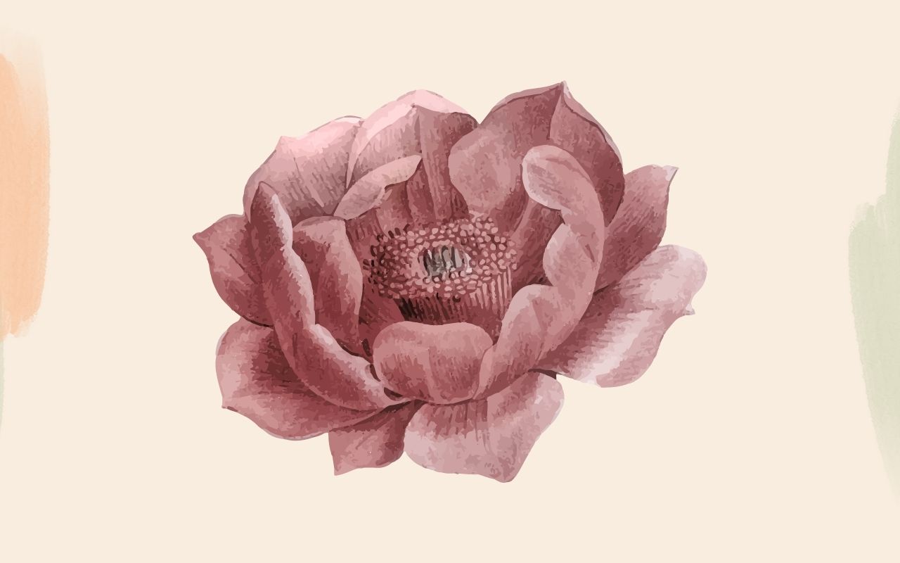 Sound Machine Alexa Skills