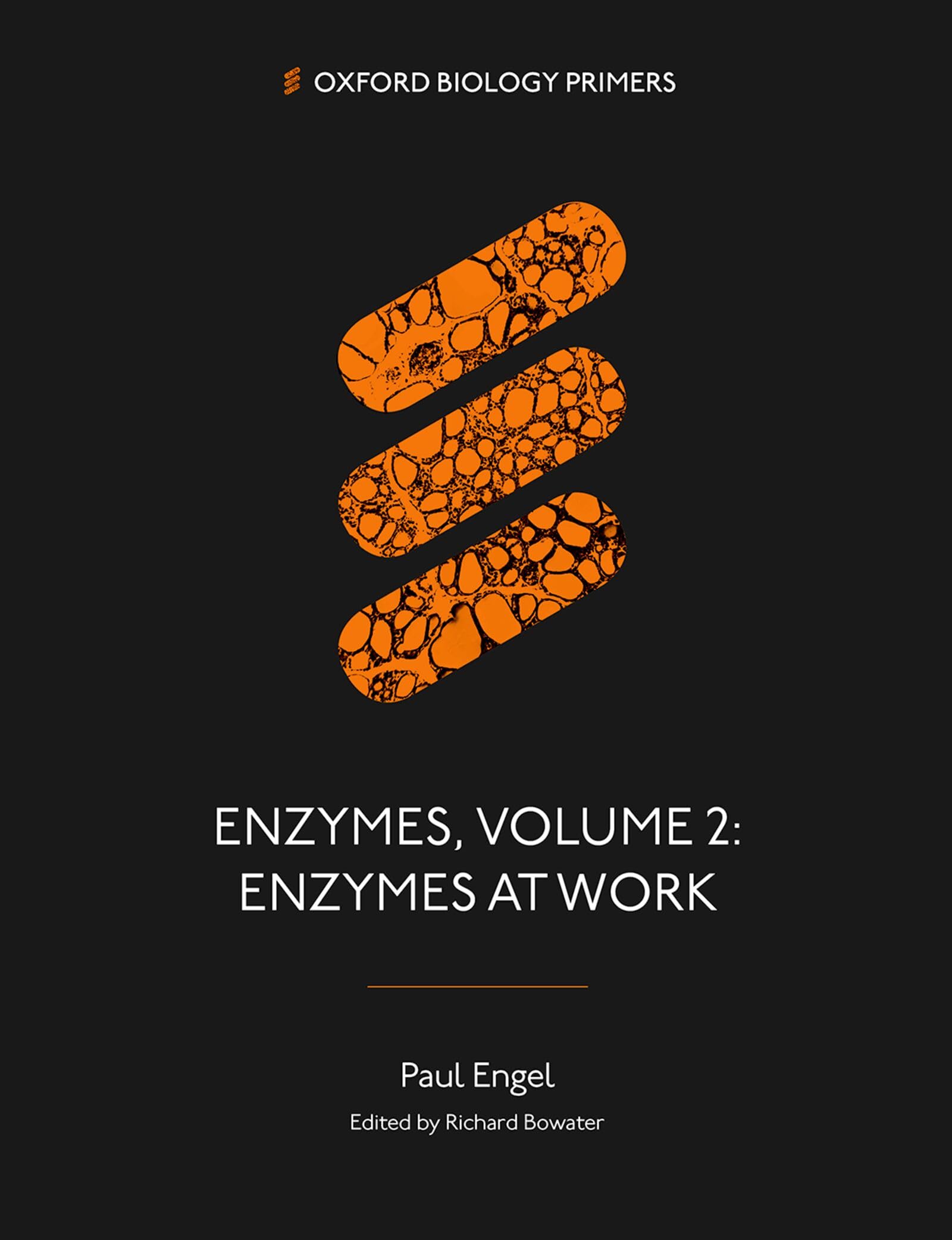 Enzymes, Volume 2 : Enzymes at Work