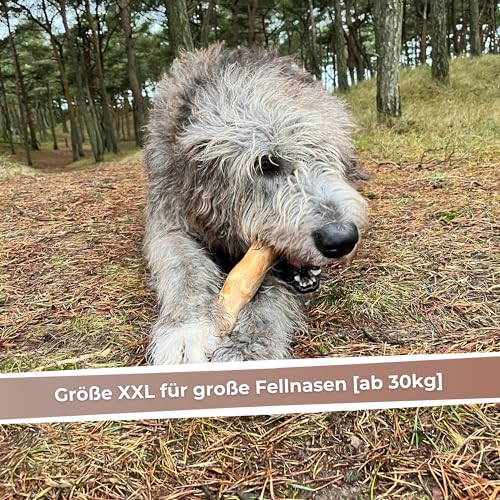 Zoys Kaffeeholz für Hunde - 3er VORTEILSPACKUNG -XXL ab 30kg Gewicht - Natürlicher Kauknochen für Zahnreinigung & Zahngesundheit & nachhaltige Beschäftigung - Hundezubehör langlebig & risikoarm