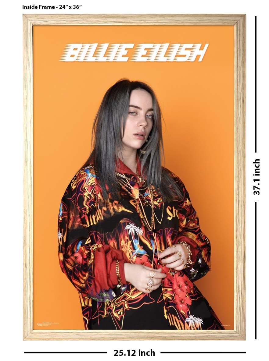Amazon.com: Billie Eilish - Photo Poster - Officially Licensed
