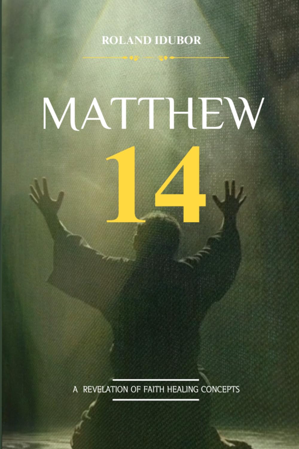 MATTHEW 14: A Revelation of Faith Healing Concepts