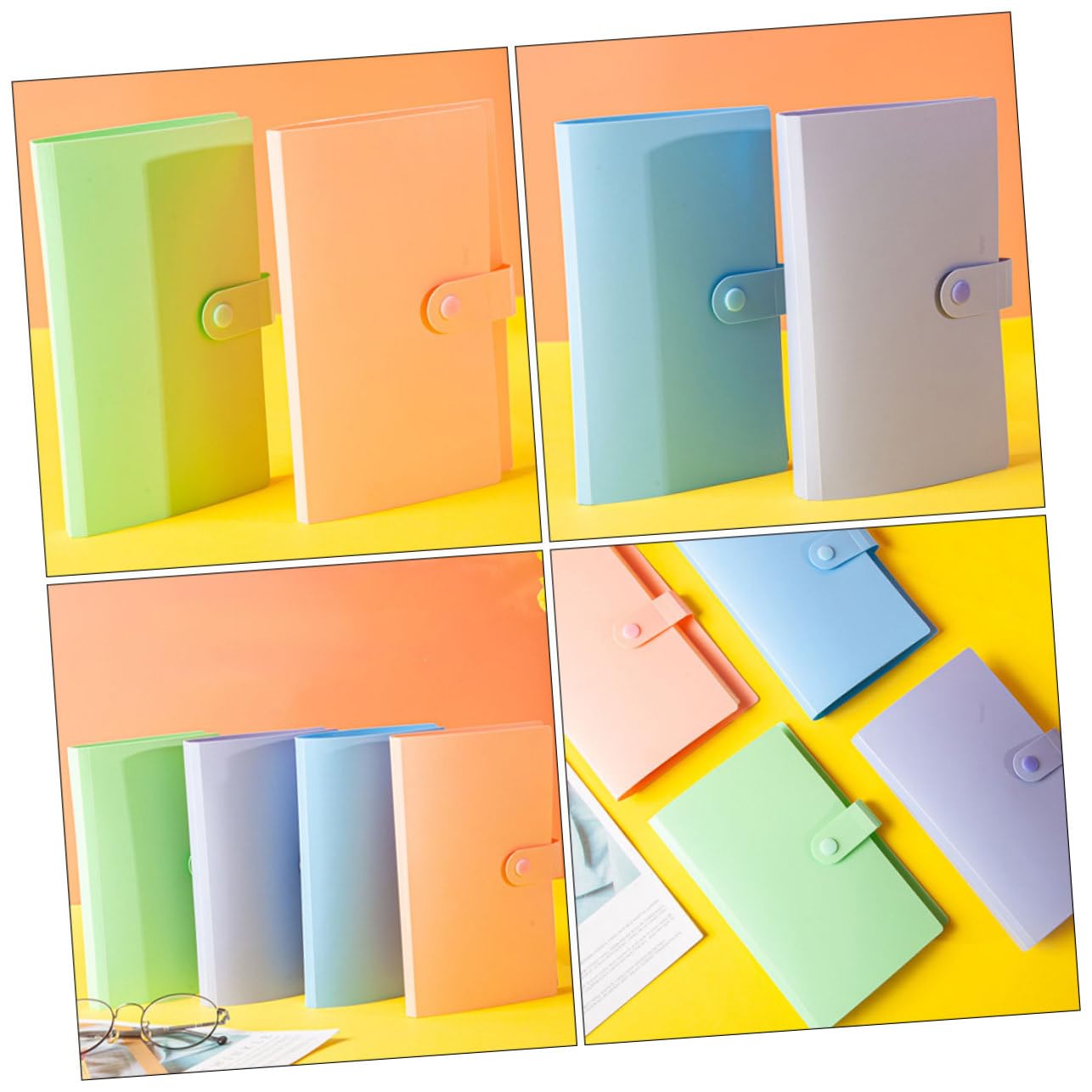Album Porta Banconote per Collezione, 4 Libri in Pp Trasparente