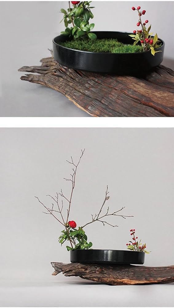 Amazon.co.jp: 花器 水盤 花瓶 盆栽鉢 プラスチック製 生け花用