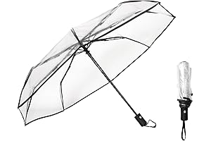 Crystal Clear Umbrella for the Clarity of Vision amid the Drizzle