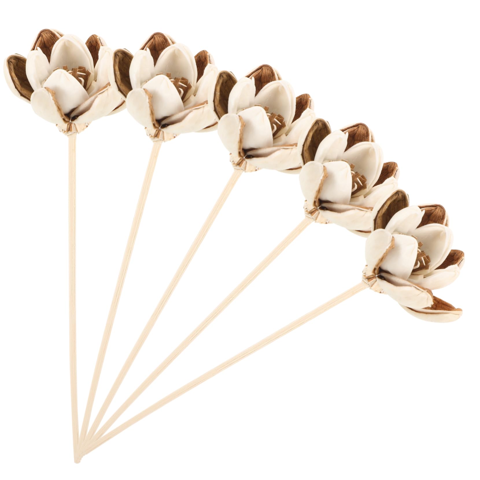 SEWACC 25stücke Teiliges Aromatherapie Diffuser Sticks Elegante Duftstäbchen Für Raumduft Für Büro Schlafzimmer Wohnzimmer Und Badezimmer Wiederverwendbar Transparent
