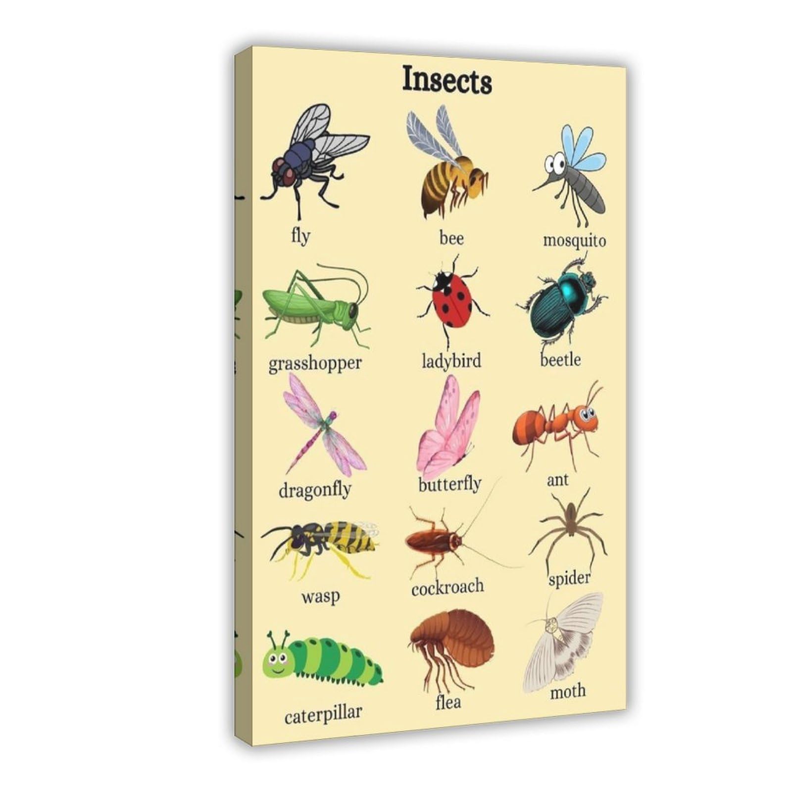 Póster de lienzo con conocimiento de la enciclopedia de insectos y animales, decoración de dormitorio, paisaje, oficina, habitación, regalo, 50 x 75 cm