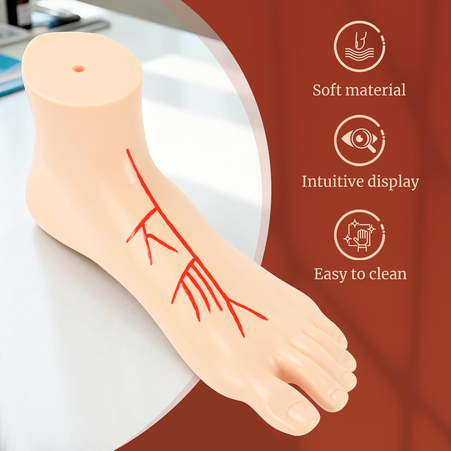 Foot Arterial Model, Human Foot and Ankle Model,Life Size Medical Anatomy Foot for Medical Education, Demonstrations Tool, Patient Education - Left