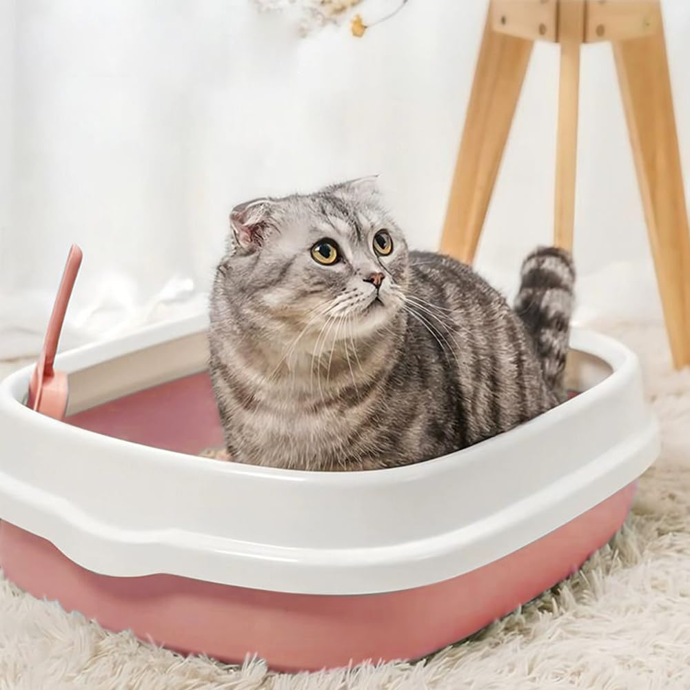 Kitten Starter Kit – Set essenziale per gatti, 16 pezzi, include lettiera, giocattoli, collari, tampone per graffi, lima per unghie, ciotole per l'alimentazione automatica, guanti per la toelettatura