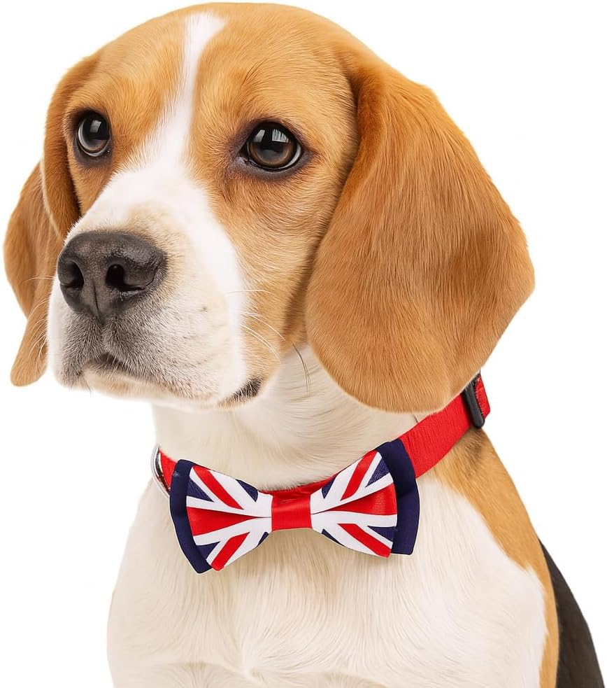 Blueberry Pet 2 Patterns Patriotic Spirits UK Flag Adjustable Bowtie Red Dog Collar - Handmade Bow Tie w/Jacquard Weave Fabric, Medium, Neck 14.5"-20" image 2
