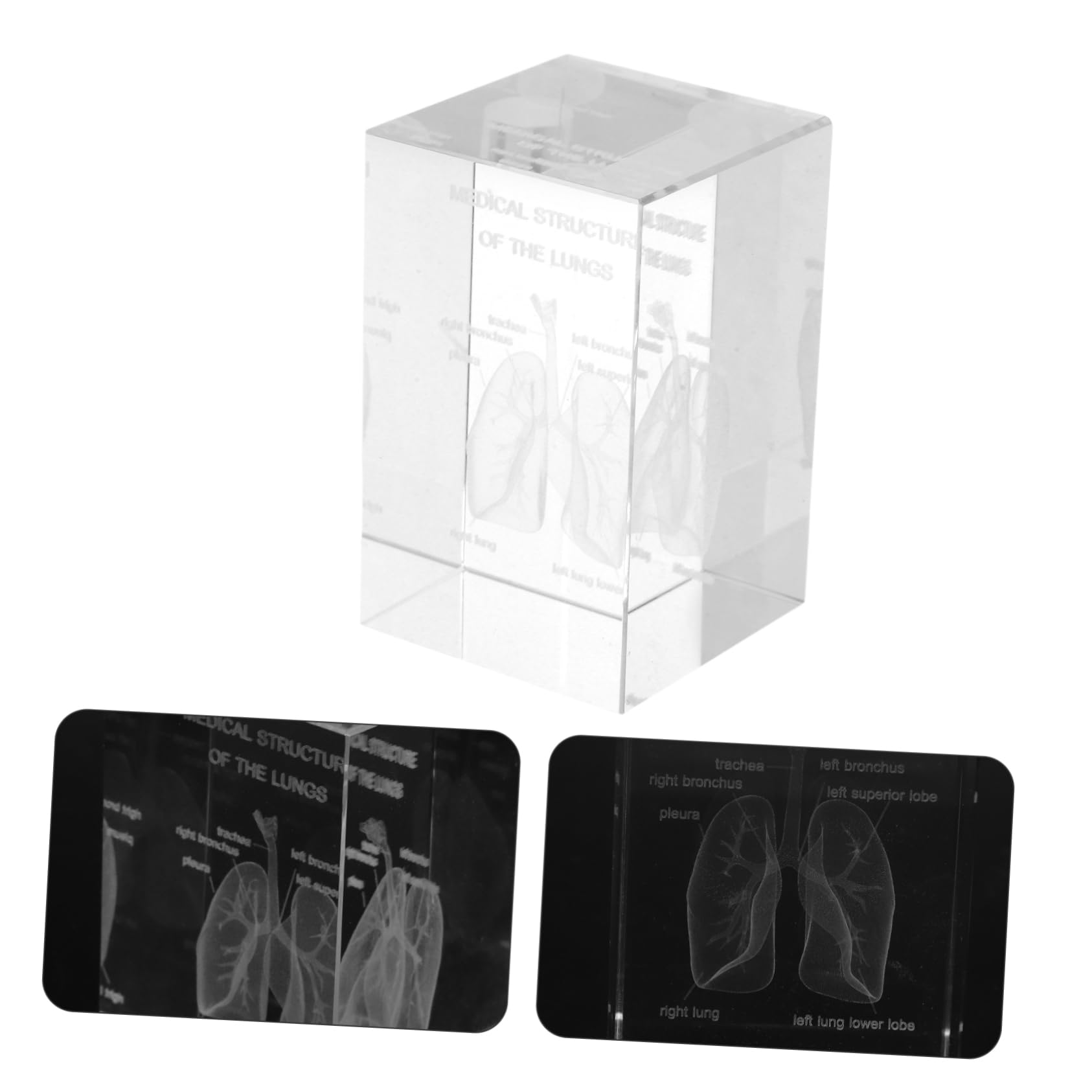 Modelo Anatómico del Pulmón en Cristal 3d Intrincado Grabado Interno, Diseño en Cubo Elegante para Enseñanza Científica y Decoración en Oficina