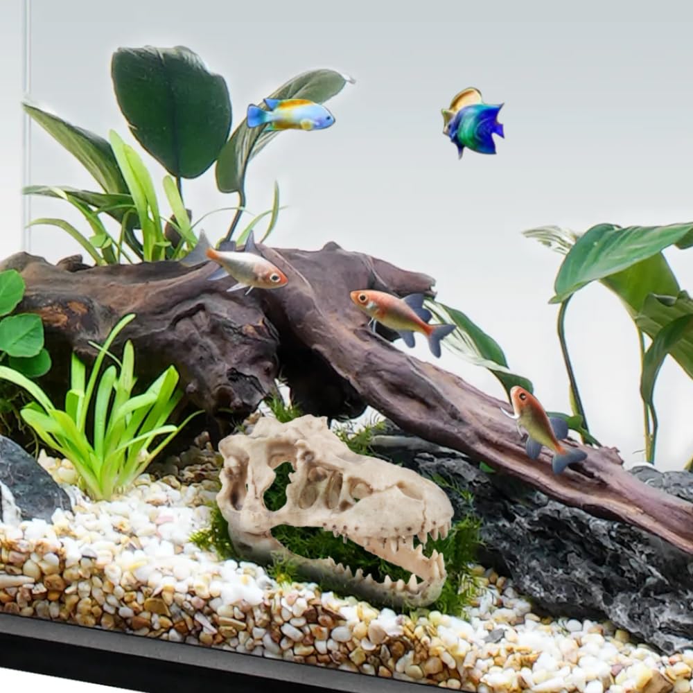 Piegricdiat Ornamenti per acquario con teschio di dinosauro, grotta di pesce per acquario, decorazione per rettili, ossa di dinosauro, decorazione per acquario, decorazione per acquario di dinosauro,