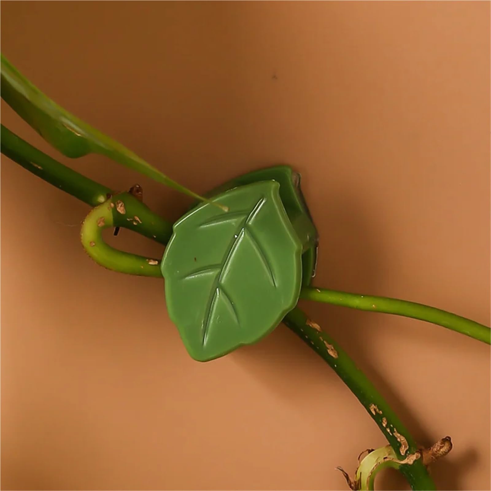 Pflanzen-Wand-Clips, unsichtbare Wandbefestigung, Rattan-Rankenhalterung, feste Schnalle für Zimmerpflanzen, Weinwand-Clips, Pflanzenhaken für Pflanzen, Grün, 100 Stück