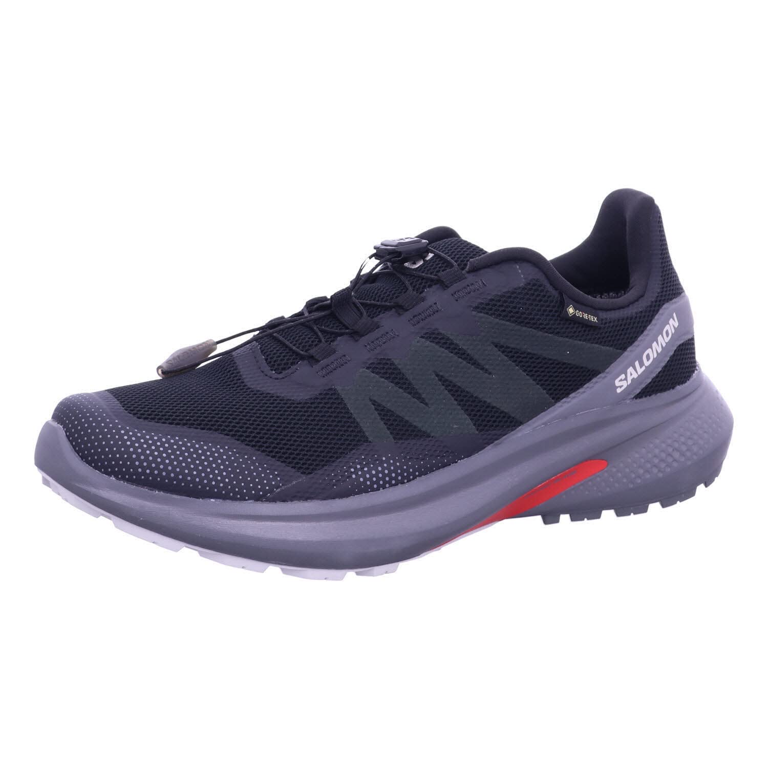 SALOMON Shoes Hypulse GTX, Zapatillas Hombre