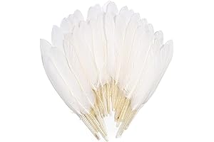 FeelfunFeather 120pcs White Goose Coque Natural Feathers for Festivities and Crafts
