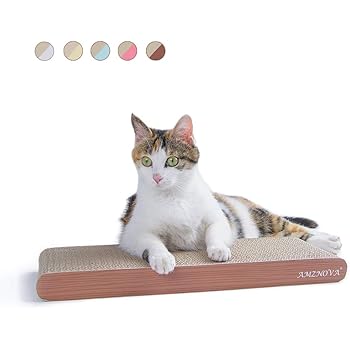 flat cat scratcher