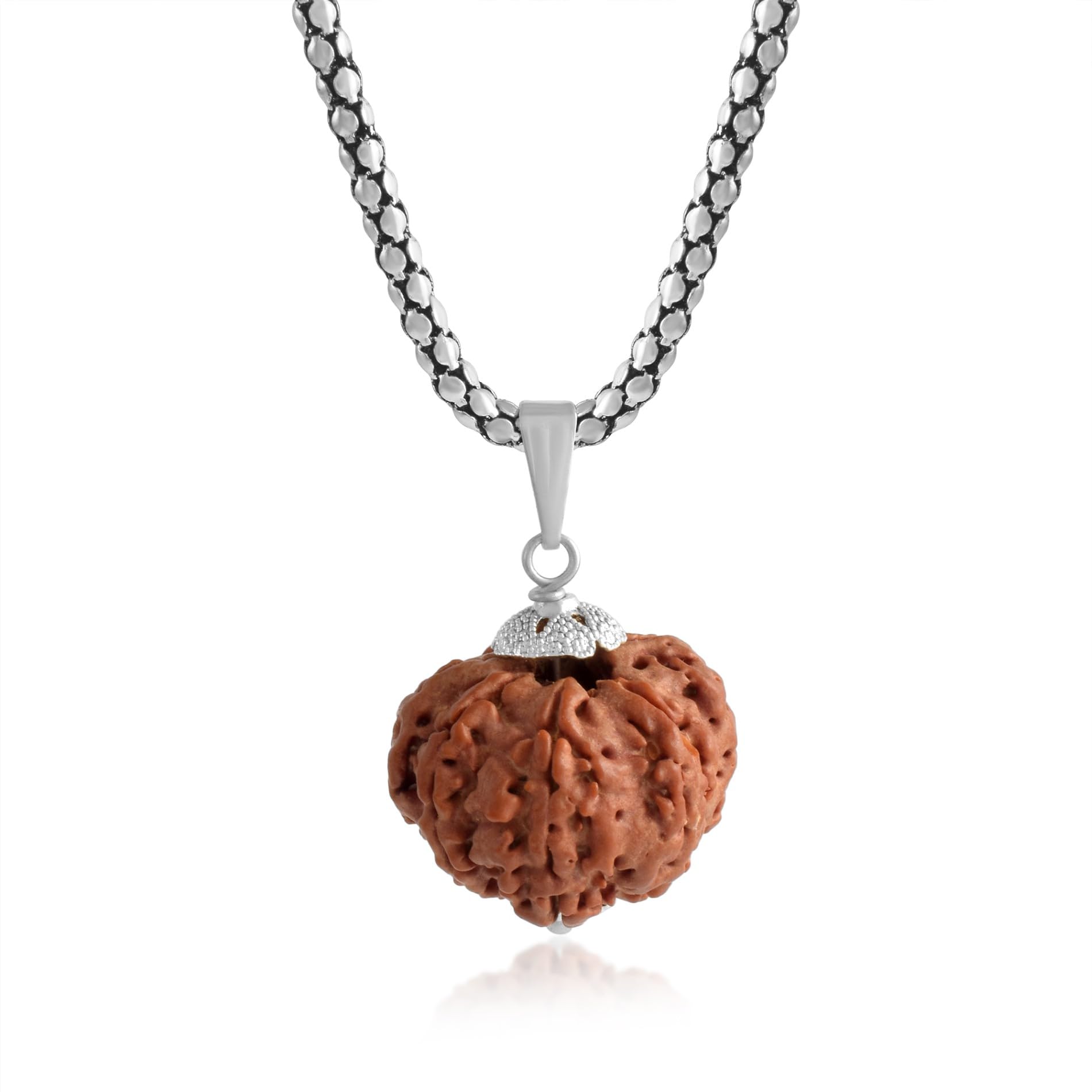 7 Mukhi Rudraksha Pendant Lab Certified Nepali seven Mukhi Original Certified Rudraksha Pendant with chain for Men and Women, Origin Nepal, Color Brown(ACPC0168A)