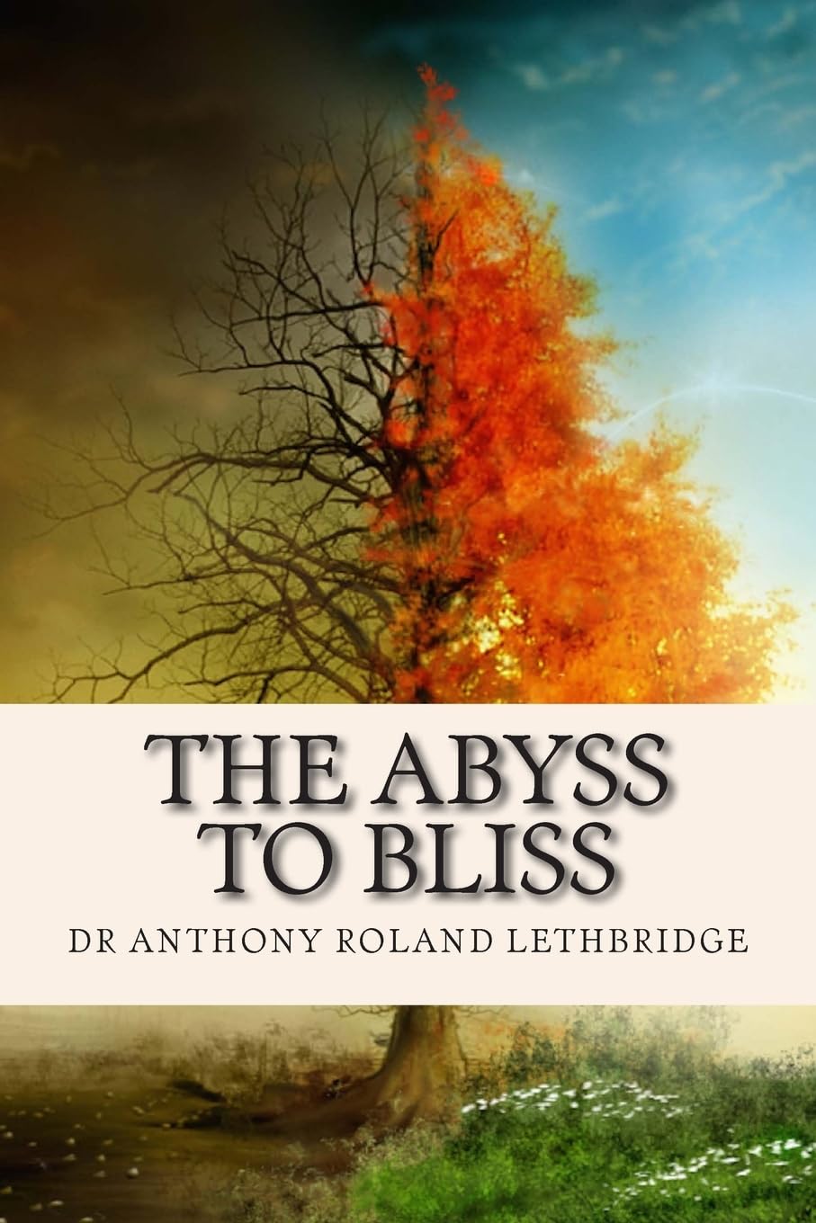 The Abyss To Bliss