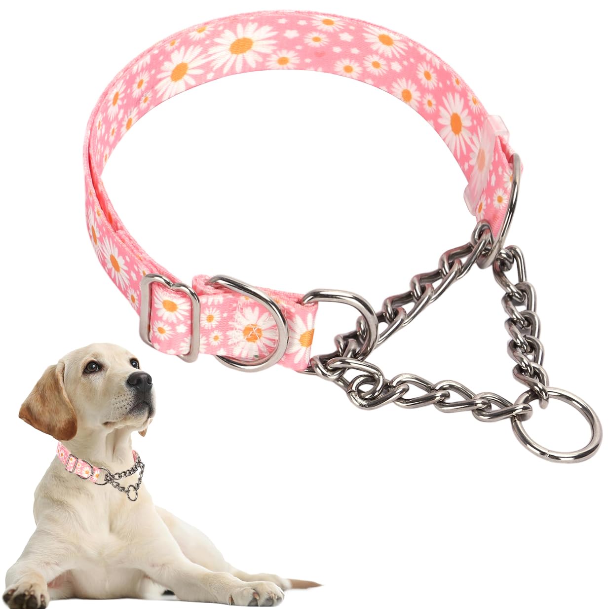 Chain Dog Collar