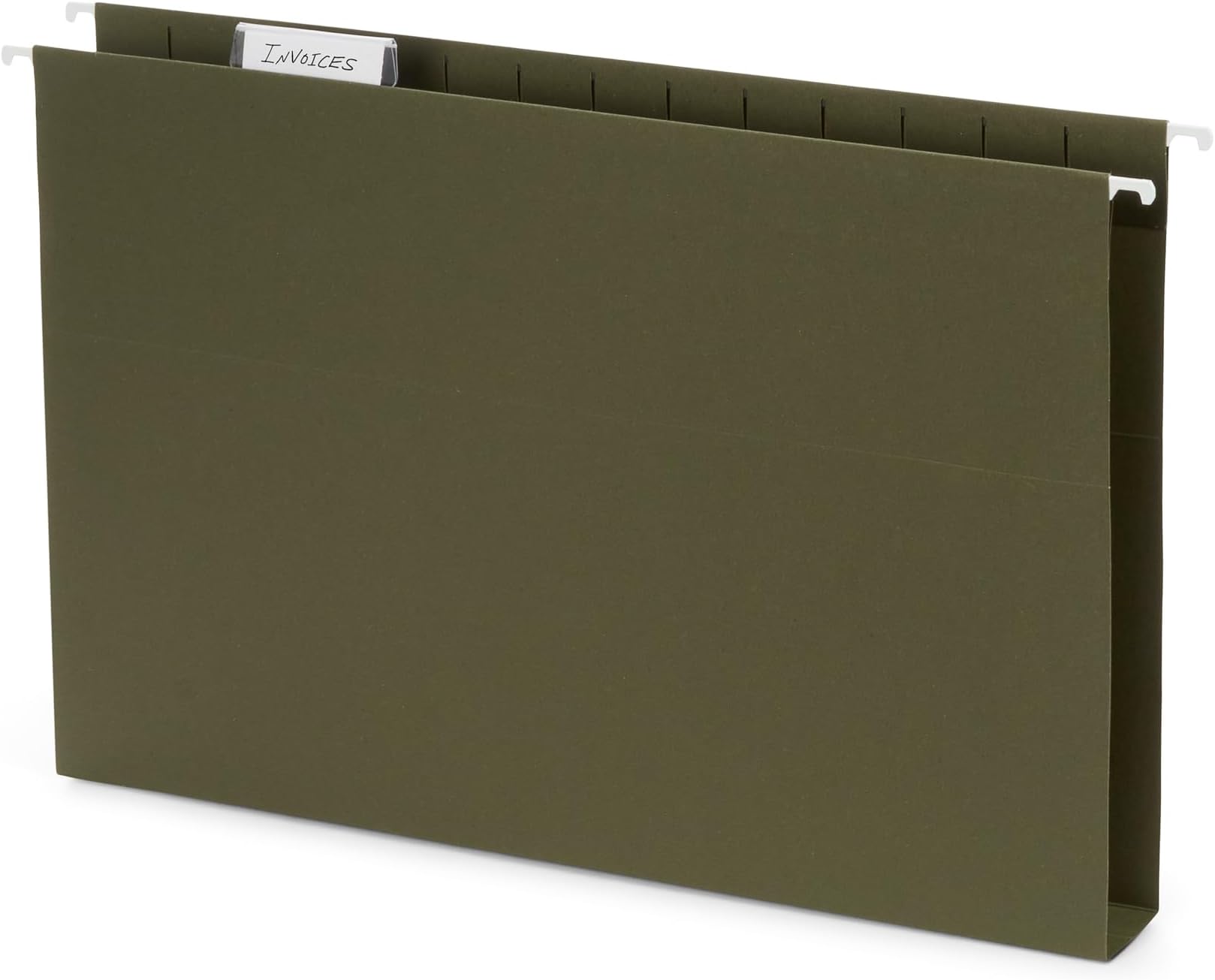 Pendaflex Extra Capacity Reinforced Hanging File Folders