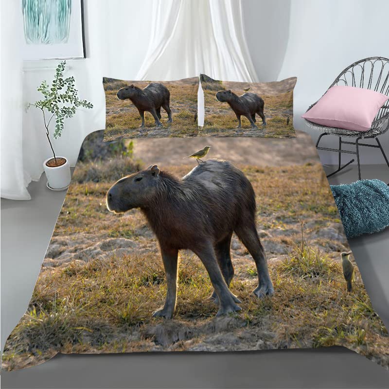 Housse de couette capybara brun anti-plis en microfibre pour lit 90x190