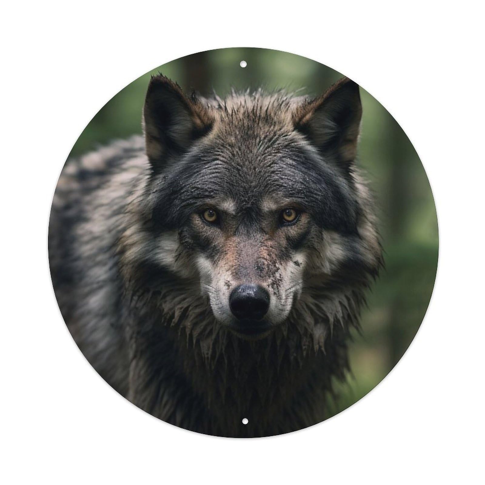 Animal Eastern Canadian Wolf Metal Tin Sign