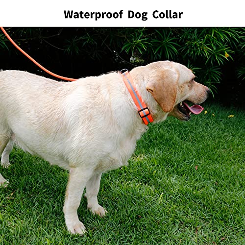 Image of Nimble Reflective Waterproof Dog Collar Adjustable Odor Resistant Easy Clean Pet Collar for Small Medium Large Dogs Night Walking Outdoor Rainy Use (Large (15.35 inch-24.8 inchinches), Orange)