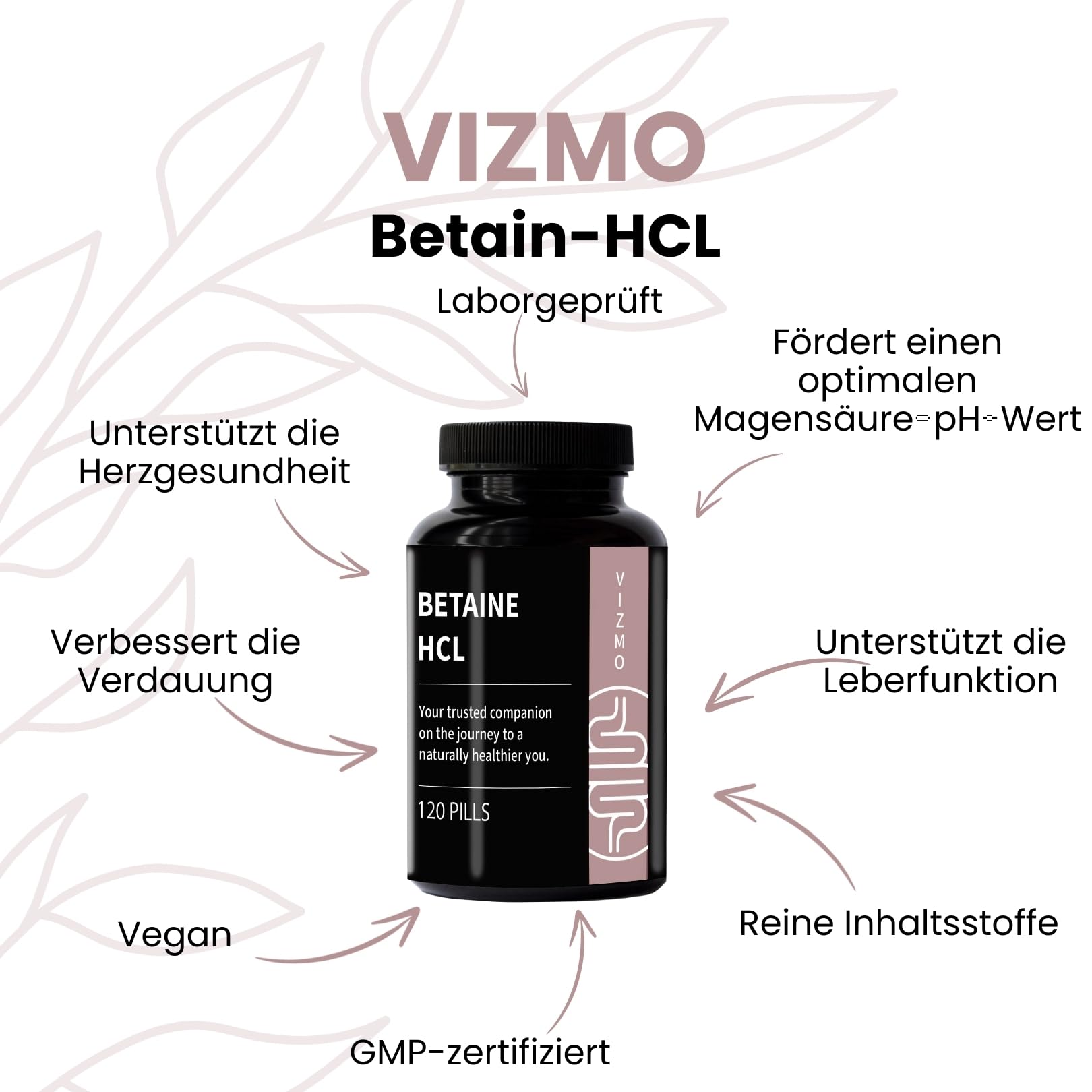 Verdauungs & Mineralstoff-Stack (2-in-1) für Gesundheitsbewusste und Darmgesundheits-Enthusiasten –Betain HCl & Irisches Moos mit Blasentang für tägliche Verdauungsbalance und Mineralstoffversorgung