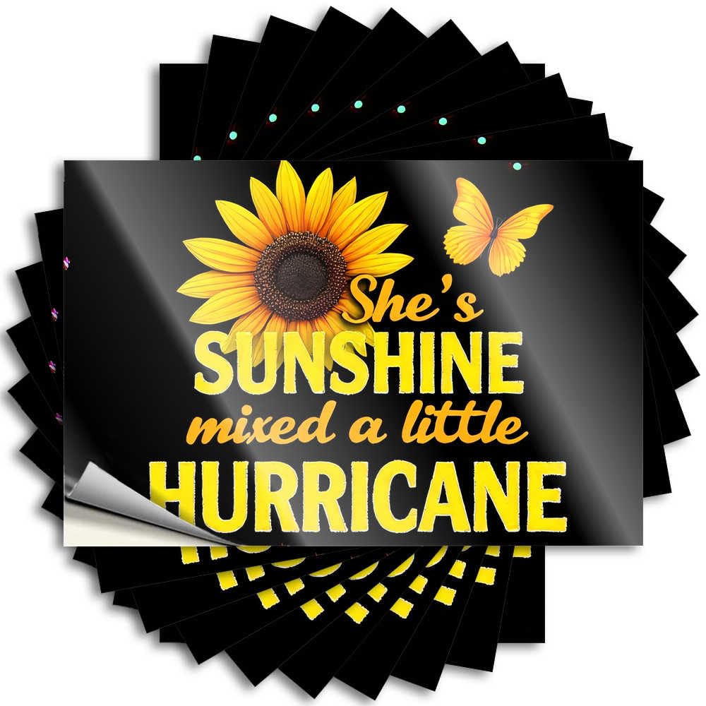 Outdoor Farmhouse Decor Saying Window | Sunshine and Hurricane: A Unique Blend Inspirational Friends Sticker Pack(6X9CM)