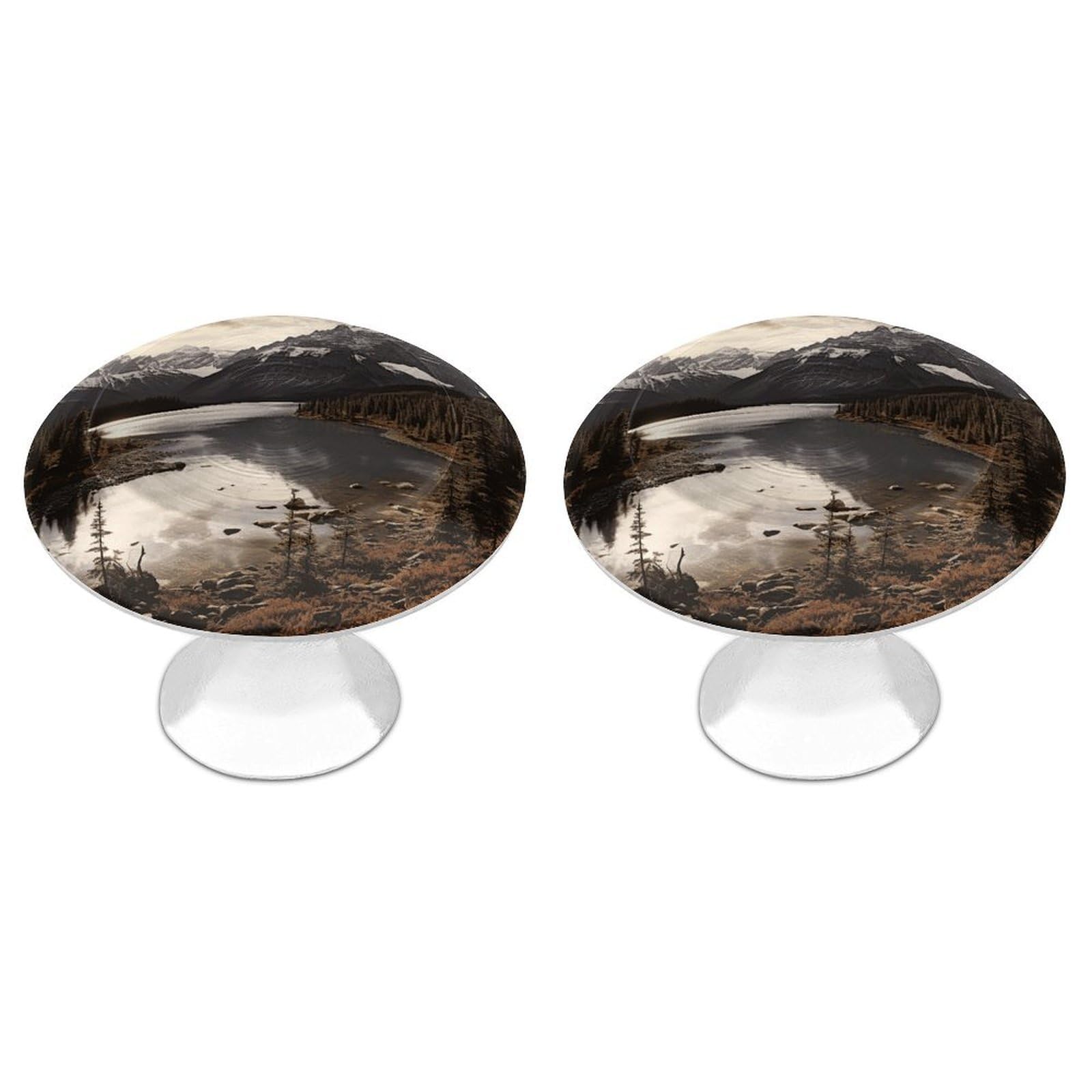 FekiLoot Round Cabinet Knob 2 Pack Kitchen Drawer Knobs Stainless Steel Round Drawer Pulls Modern Cabinet Hardware Landscape Drawer Hardware for Dresser Closet Door Knobs