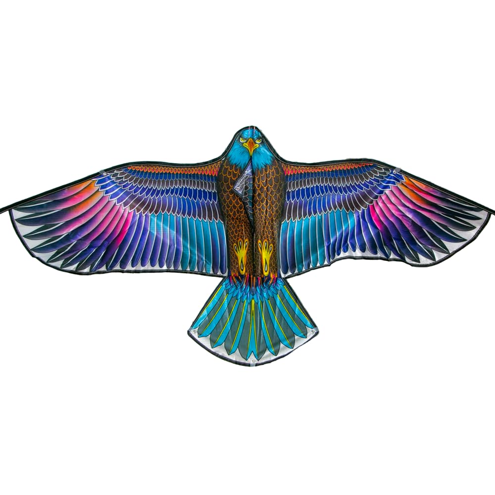 Eagle Kite for Kids and Adults (Medium Multi)